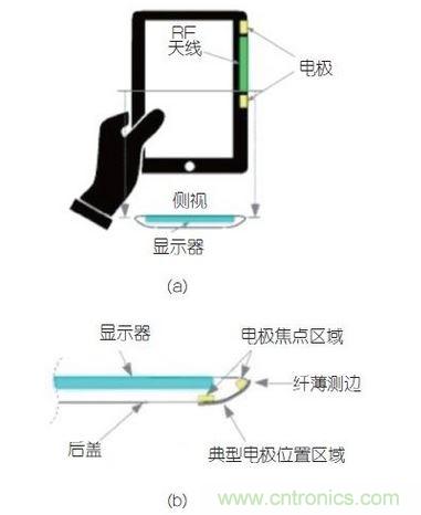 (a)側(cè)剖視圖描述；(b)電極焦點(diǎn)區(qū)域描述