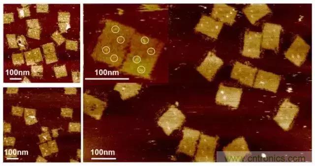 中美科學家聯(lián)手，用DNA納米機器人殺死癌細胞