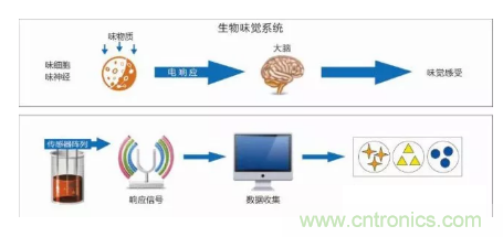 仿生傳感器的定義、原理、分類及應用