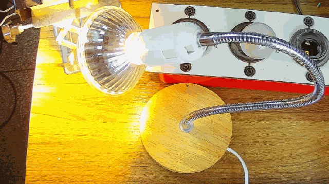 電燈泡內(nèi)通有交流電，為什么看不到燈泡在閃爍？